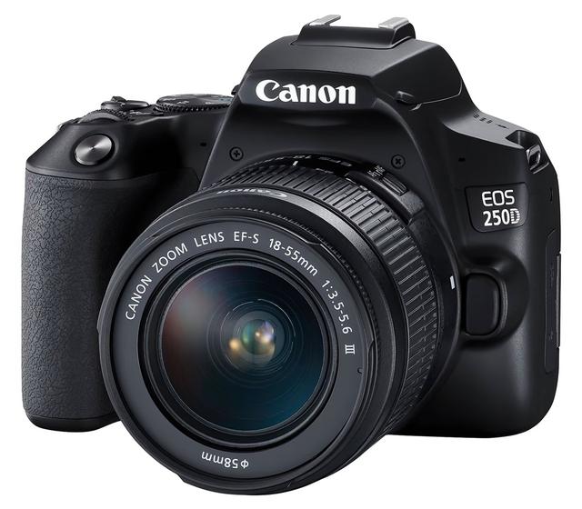 Зеркальный фотоаппарат Canon EOS 250D Kit EF-S 18-55 DC III
