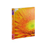 Фотоальбом Fotografia магнитный 23х28 см, 10 листов, «Цветы» (FA-SA10-321)