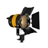 Осветитель FST SPL-800, 80 Вт, 3500 / 5600К, светодиодный, фокусируемый (спот)