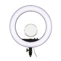 Осветитель кольцевой Godox LR160 LED, светодиодный, 18 Вт, 3300 - 8000К