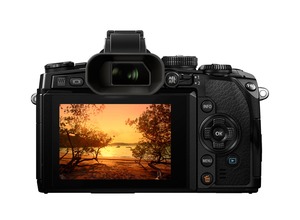 Беззеркальный фотоаппарат Olympus OM-D E-M1 kit 12-50mm f/3.5-6.3 black