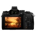 Беззеркальный фотоаппарат Olympus OM-D E-M1 kit 12-50mm f/3.5-6.3 black