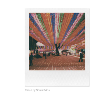 Картриджи Polaroid I-Type Color Film 5 pack, 5 х 8 кадров