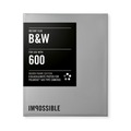 Polaroid Impossible B&W Instant Film с серебристой рамкой