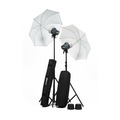 Комплект студийного света Elinchrom D-Lite RX ONE Umbrella Set, 2х100 Дж