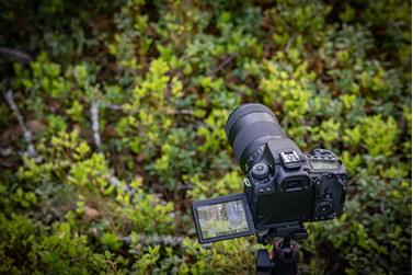 Зеркальный фотоаппарат Canon EOS 90D Kit 18-135 IS USM