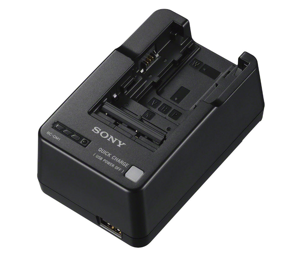 Зарядное устройство Sony BC-QM1, универсальное (W / V / M / H / P) от Яркий Фотомаркет