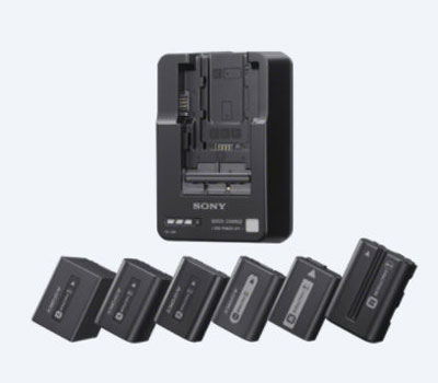 Зарядное устройство Sony BC-QM1, универсальное (W / V / M / H / P) от Яркий Фотомаркет