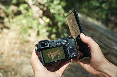 Беззеркальный фотоаппарат Sony a6600 Body