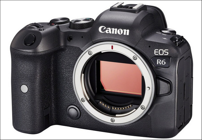 Canon eos r6 24 105 stm kit 5